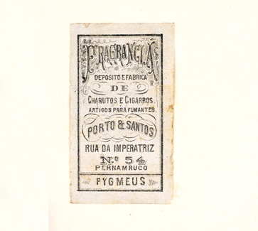 vizualizar o documento on line